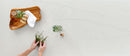 Calacatta Clara Quartz Countertop - Installed Price