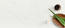 Calacatta Trevi Quartz Countertop - Installed Price