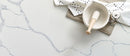 Statuary Classique Quartz Countertop - Installed Price