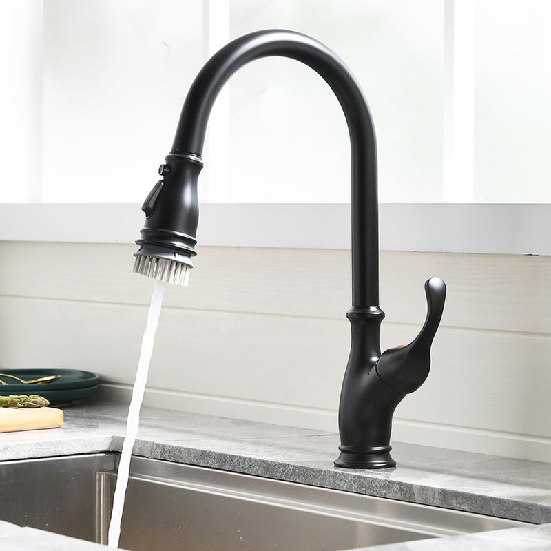 Black Single-Handle Kitchen Faucet 1176-33B
