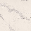 5031 Statuario Maximus