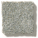 MONTAGE II 100% BCF Cleartouch PET Polyester Carpet 12 ft. x Custom Length R2X® Built-in Stain & Soil Protection