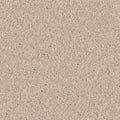 DYERSBURG CLASSIC 12' 100% Pet Polyester Carpet 12 ft. x Custom Length R2X® Built-in Stain & Soil Protection