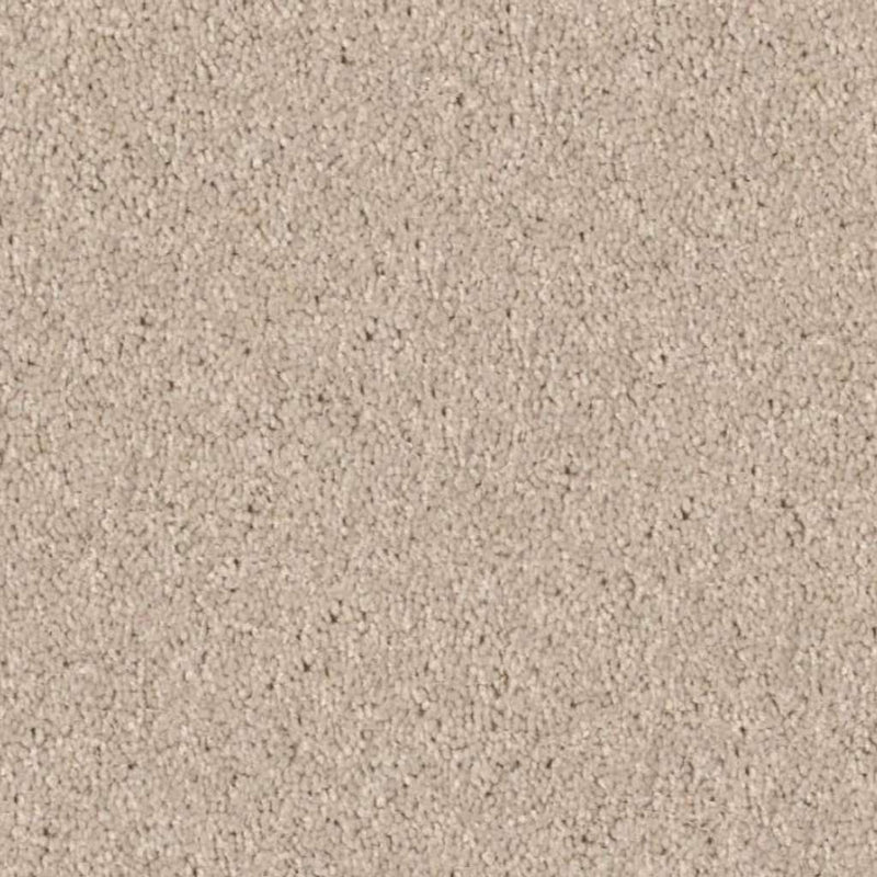 DYERSBURG CLASSIC 12' 100% Pet Polyester Carpet 12 ft. x Custom Length R2X® Built-in Stain & Soil Protection