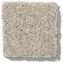 NEWBERN CLASSIC 12' 100% Pet Polyester Carpet 12 ft. x Custom Length R2X® Built-in Stain & Soil Protection