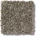 OF COURSE WE CAN II 12' 100% Pet Polyester Carpet 12 ft. x Custom Length R2X® Built-in Stain & Soil Protection
