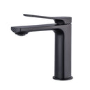 Matt Black 1 Hole Single-Handle Bathroom Faucet B55101311