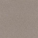 INFLUENCER 100% High Performance PET Carpet 12 ft. x Custom Length