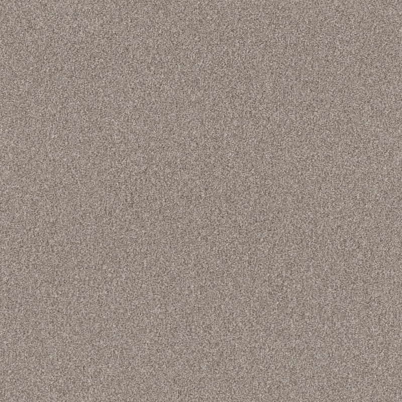 INFLUENCER 100% High Performance PET Carpet 12 ft. x Custom Length