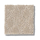 TRANSCENDING 100% SD PET Polyester Carpet 12 ft. x Custom Length