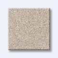 HARMONIOUS I 100% Nylon Carpet 12 ft. x Custom Length R2X® Built-in Stain & Soil Protection