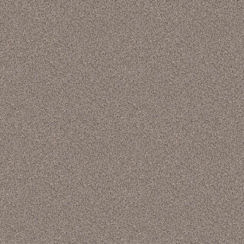 INFLUENCER 100% High Performance PET Carpet 12 ft. x Custom Length