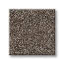 TRUSPIRIT I 100% SD PET Polyester Carpet 12 ft. x Custom Length