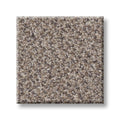 TRUSPIRIT I 100% SD PET Polyester Carpet 12 ft. x Custom Length