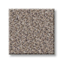 TRUSPIRIT I 100% SD PET Polyester Carpet 12 ft. x Custom Length