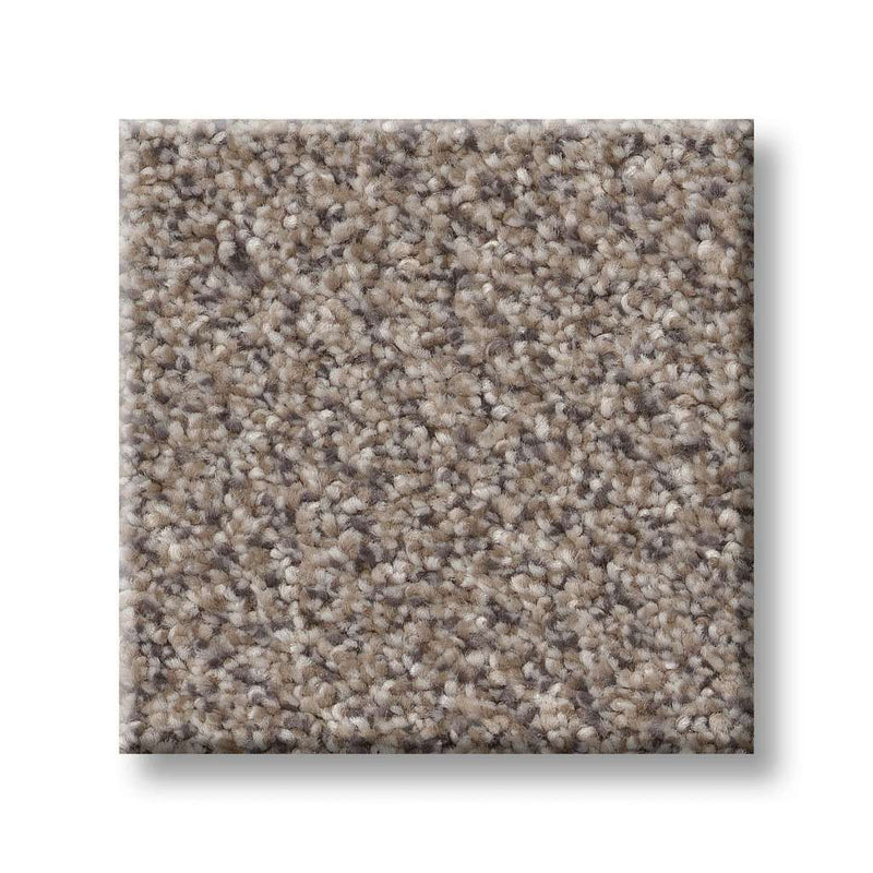 TRUSPIRIT I 100% SD PET Polyester Carpet 12 ft. x Custom Length