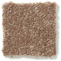 DYERSBURG CLASSIC 12' 100% Pet Polyester Carpet 12 ft. x Custom Length R2X® Built-in Stain & Soil Protection