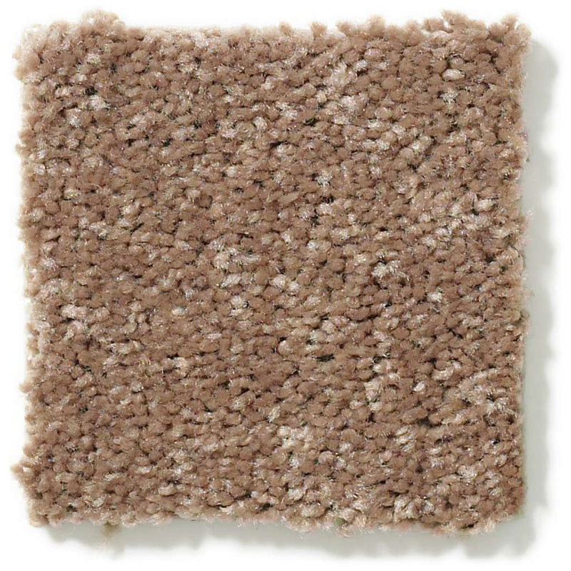 DYERSBURG CLASSIC 12' 100% Pet Polyester Carpet 12 ft. x Custom Length R2X® Built-in Stain & Soil Protection