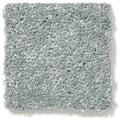 DYERSBURG CLASSIC 12' 100% Pet Polyester Carpet 12 ft. x Custom Length R2X® Built-in Stain & Soil Protection