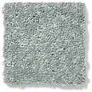 DYERSBURG CLASSIC 12' 100% Pet Polyester Carpet 12 ft. x Custom Length R2X® Built-in Stain & Soil Protection
