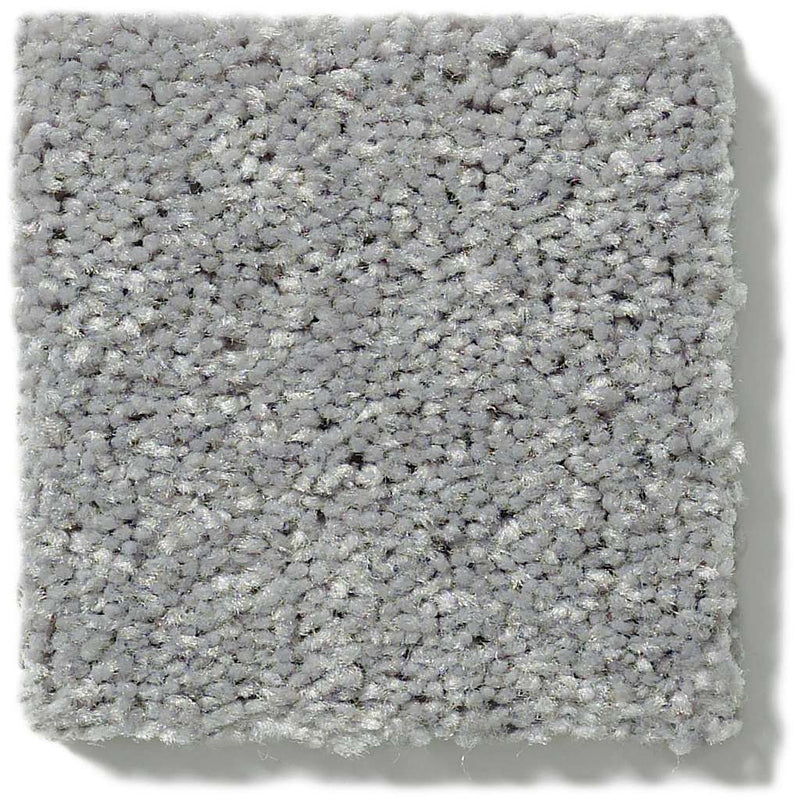 NEWBERN CLASSIC 12' 100% Pet Polyester Carpet 12 ft. x Custom Length R2X® Built-in Stain & Soil Protection