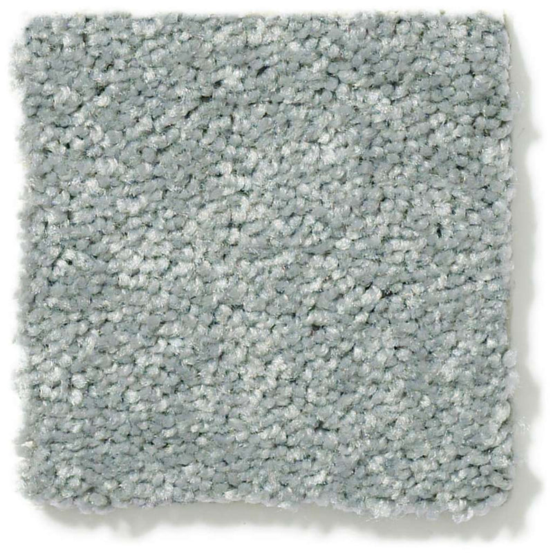 DYERSBURG CLASSIC 12' 100% Pet Polyester Carpet 12 ft. x Custom Length R2X® Built-in Stain & Soil Protection