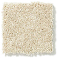 DYERSBURG CLASSIC 12' 100% Pet Polyester Carpet 12 ft. x Custom Length R2X® Built-in Stain & Soil Protection