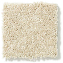 DYERSBURG CLASSIC 12' 100% Pet Polyester Carpet 12 ft. x Custom Length R2X® Built-in Stain & Soil Protection