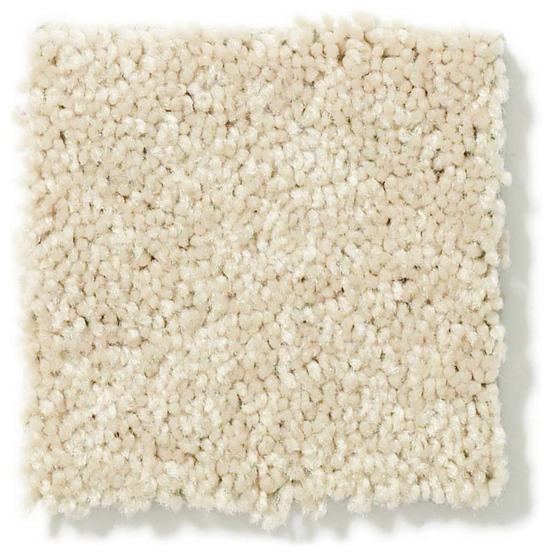 DYERSBURG CLASSIC 12' 100% Pet Polyester Carpet 12 ft. x Custom Length R2X® Built-in Stain & Soil Protection