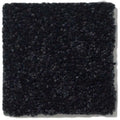 DYERSBURG CLASSIC 12' 100% Pet Polyester Carpet 12 ft. x Custom Length R2X® Built-in Stain & Soil Protection