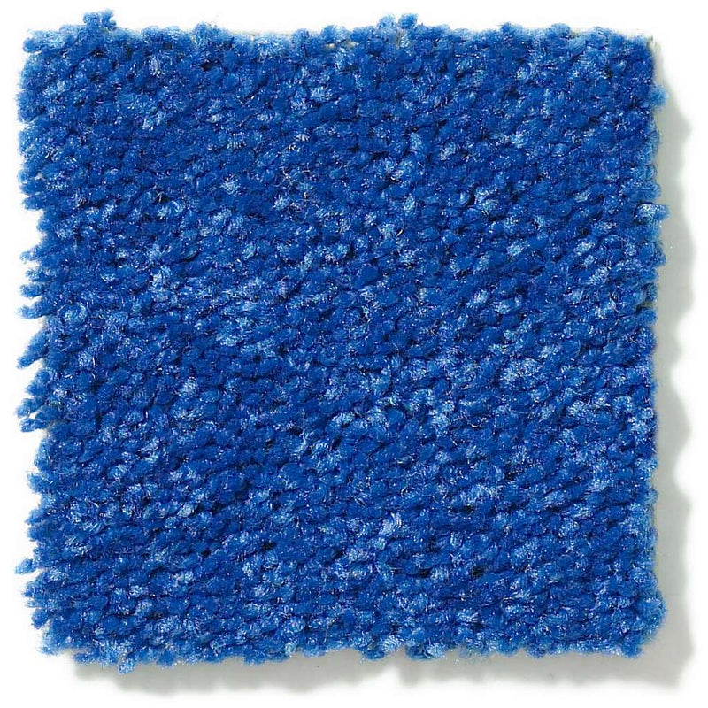 DYERSBURG CLASSIC 12' 100% Pet Polyester Carpet 12 ft. x Custom Length R2X® Built-in Stain & Soil Protection