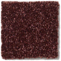 DYERSBURG CLASSIC 12' 100% Pet Polyester Carpet 12 ft. x Custom Length R2X® Built-in Stain & Soil Protection