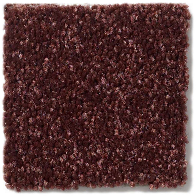 DYERSBURG CLASSIC 12' 100% Pet Polyester Carpet 12 ft. x Custom Length R2X® Built-in Stain & Soil Protection