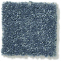 DYERSBURG CLASSIC 12' 100% Pet Polyester Carpet 12 ft. x Custom Length R2X® Built-in Stain & Soil Protection