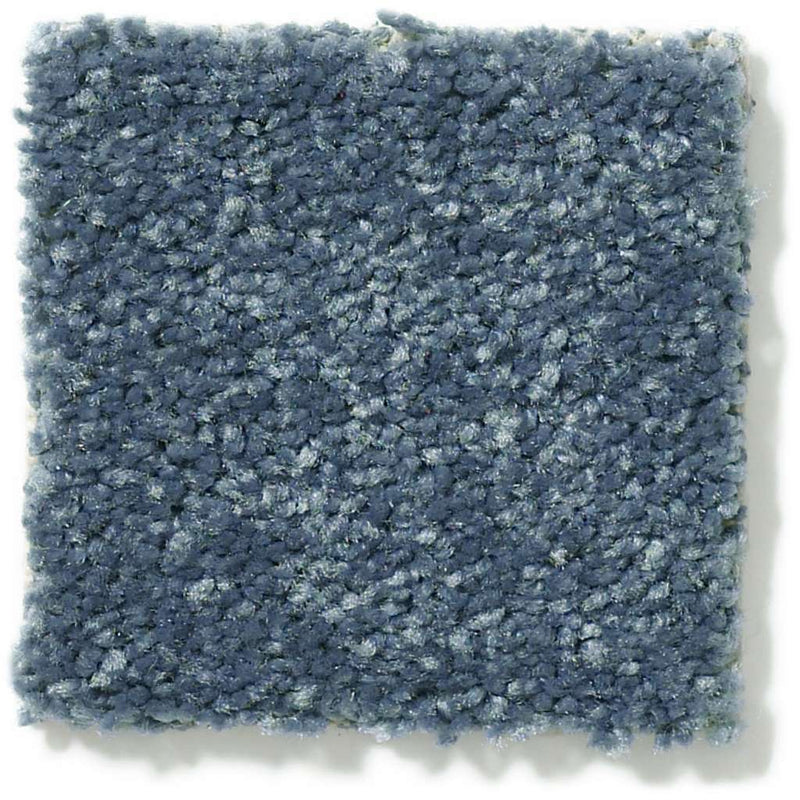 DYERSBURG CLASSIC 12' 100% Pet Polyester Carpet 12 ft. x Custom Length R2X® Built-in Stain & Soil Protection