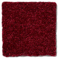 DYERSBURG CLASSIC 12' 100% Pet Polyester Carpet 12 ft. x Custom Length R2X® Built-in Stain & Soil Protection