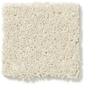 DYERSBURG CLASSIC 12' 100% Pet Polyester Carpet 12 ft. x Custom Length R2X® Built-in Stain & Soil Protection