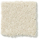 DYERSBURG CLASSIC 12' 100% Pet Polyester Carpet 12 ft. x Custom Length R2X® Built-in Stain & Soil Protection