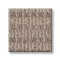 CHIC ELEVATION 100% High Performance PET Carpet 12 ft. x Custom Length
