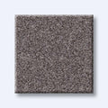 HARMONIOUS I 100% Nylon Carpet 12 ft. x Custom Length R2X® Built-in Stain & Soil Protection