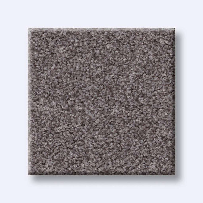 HARMONIOUS I 100% Nylon Carpet 12 ft. x Custom Length R2X® Built-in Stain & Soil Protection