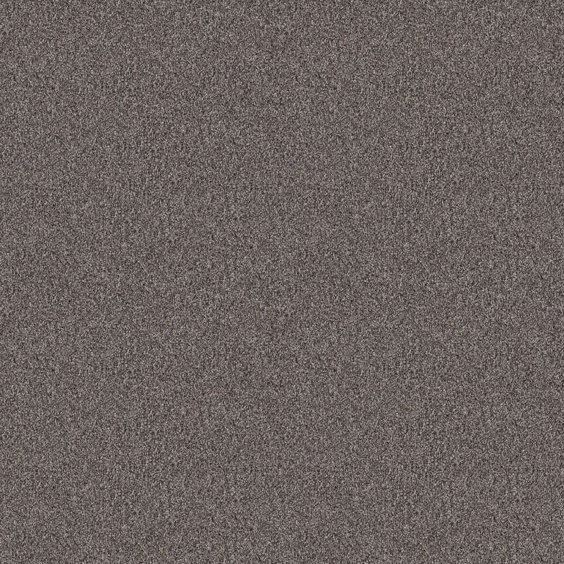 INFLUENCER 100% High Performance PET Carpet 12 ft. x Custom Length