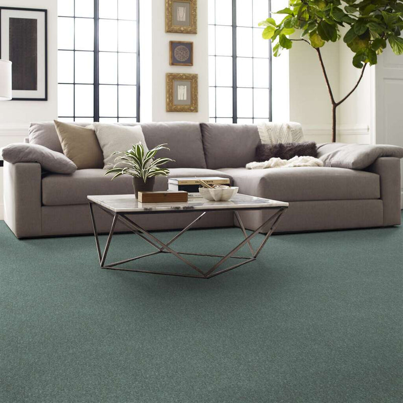 DYERSBURG CLASSIC 12' 100% Pet Polyester Carpet 12 ft. x Custom Length R2X® Built-in Stain & Soil Protection