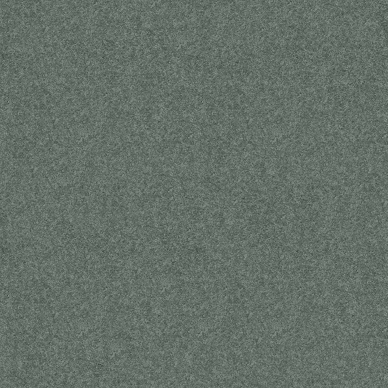 DYERSBURG CLASSIC 12' 100% Pet Polyester Carpet 12 ft. x Custom Length R2X® Built-in Stain & Soil Protection