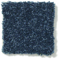 DYERSBURG CLASSIC 12' 100% Pet Polyester Carpet 12 ft. x Custom Length R2X® Built-in Stain & Soil Protection