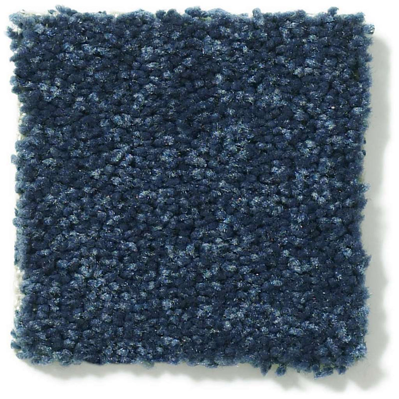 DYERSBURG CLASSIC 12' 100% Pet Polyester Carpet 12 ft. x Custom Length R2X® Built-in Stain & Soil Protection