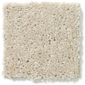 DYERSBURG CLASSIC 12' 100% Pet Polyester Carpet 12 ft. x Custom Length R2X® Built-in Stain & Soil Protection