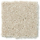 DYERSBURG CLASSIC 12' 100% Pet Polyester Carpet 12 ft. x Custom Length R2X® Built-in Stain & Soil Protection
