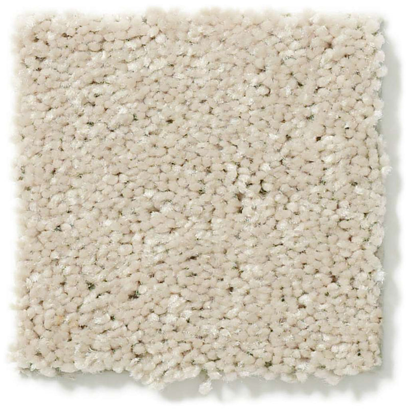 DYERSBURG CLASSIC 12' 100% Pet Polyester Carpet 12 ft. x Custom Length R2X® Built-in Stain & Soil Protection