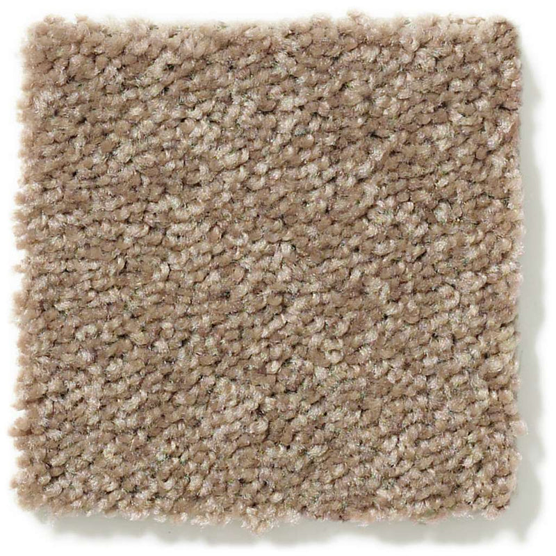 DYERSBURG CLASSIC 12' 100% Pet Polyester Carpet 12 ft. x Custom Length R2X® Built-in Stain & Soil Protection